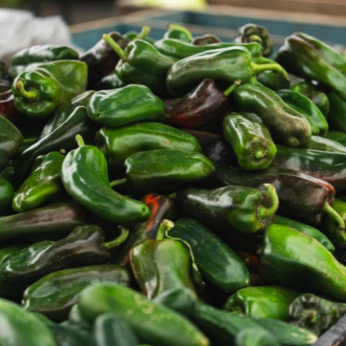 Green Capsicum