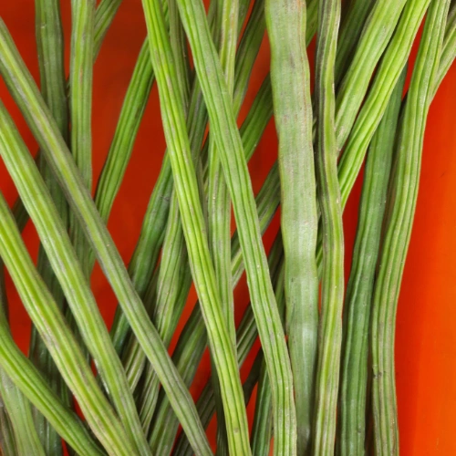 Drumstick Leaves