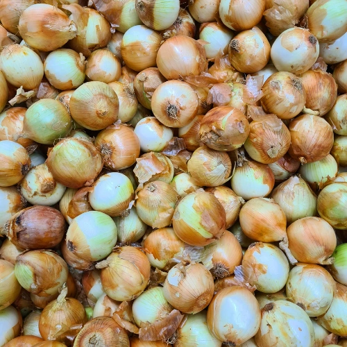 Onion / White Onion